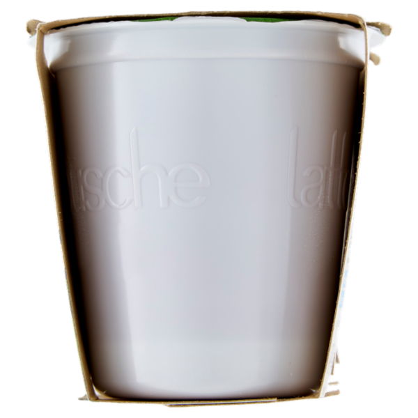 lattebusche Yogurt Bio Mirtilli 2 x 125 g