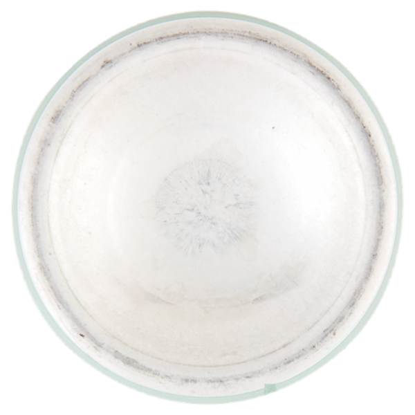 infasil deo-green Fragranza Neutra 125 ml