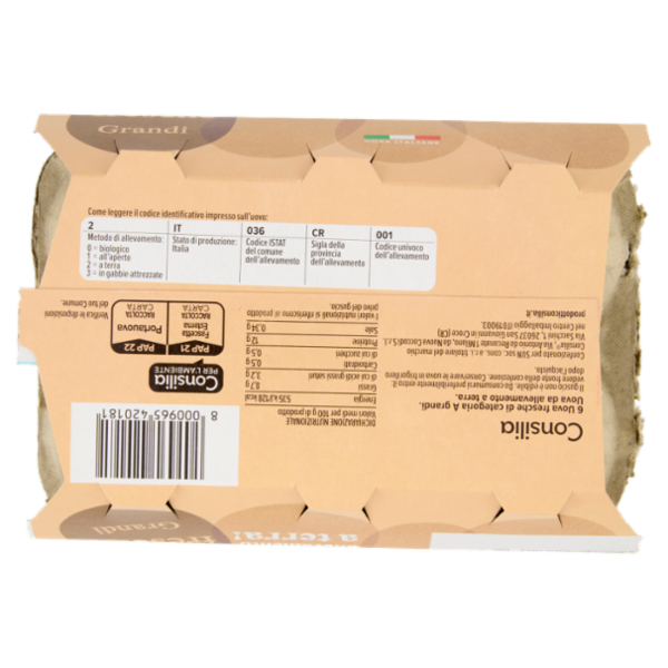 Consilia 6 Uova Fresche Grandi da Allevamento a Terra