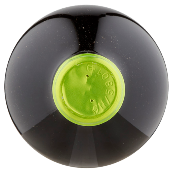 Terredavino bio Barbera d'Asti docg Vino Biologico 75 CL