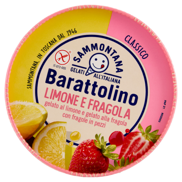 Sammontana Barattolino Classico Limone e Fragola 500 g