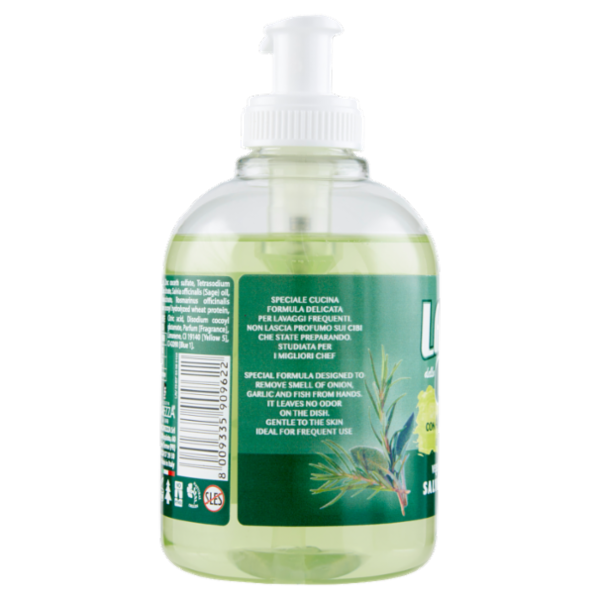 Lavamani dello chef con Antibatterico di grado alimentare 300 ml