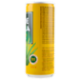 Lotte Aloe Vera gusto Mango 240 ml