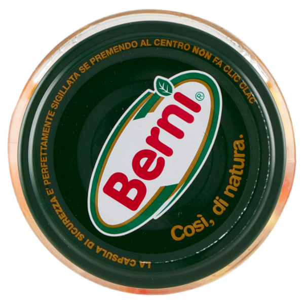 Berni Condiriso Tonno 300 g