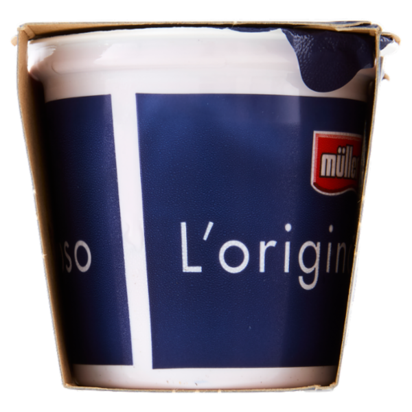 müller Yogurt Cremoso Mirtillo in Pezzi 2 x 125 g