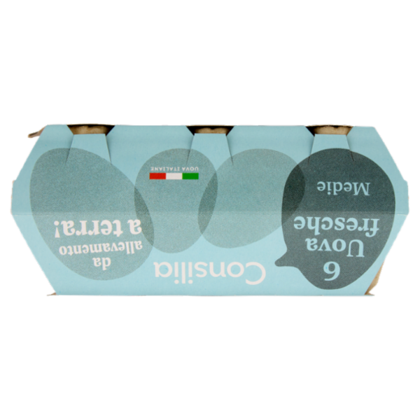 Consilia 6 Uova Fresche Medie da Allevamento a Terra