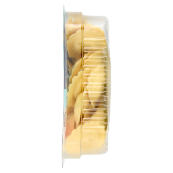 Fini Senza Lattosio Girasoli Robiola e Speck 250 g