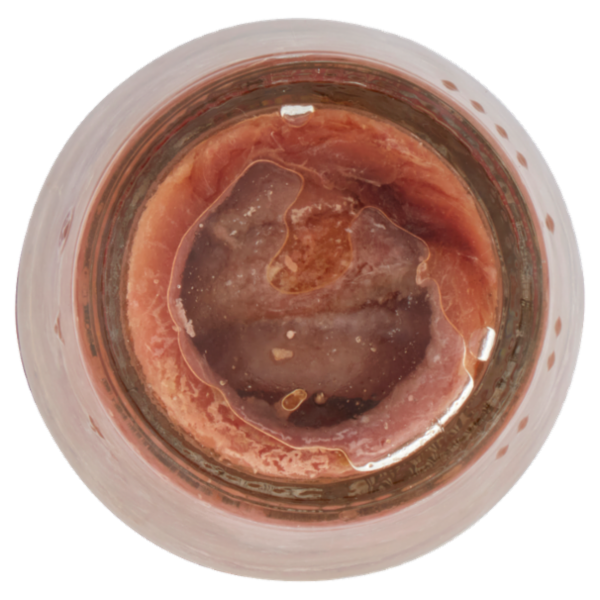 Zarotti Filetti di Alici Classici 60 g