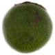 Spreafico Avocado Verde 300 g