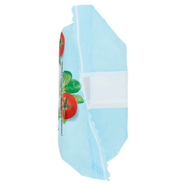 IL GIGANTE Stracchino 165 g