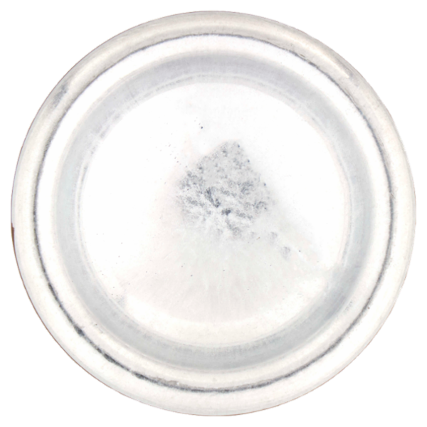 Breeze Argan Vaniglia e Sandalo Deodorante Spray 150 mL