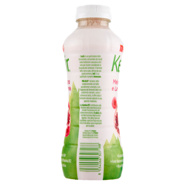Milk Kefir Melograno e Lampone 480 g