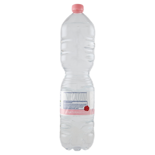 Alpe Guizza Fonte Caudana Naturale 1,5 L
