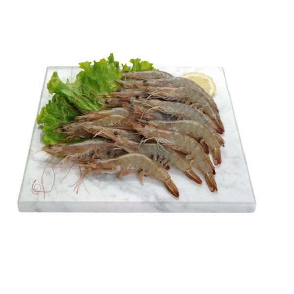 Mazzancolla Tropicale Cruda Decongelata