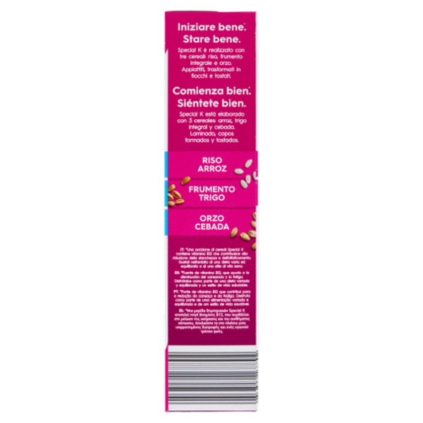 Kellogg's Special K Red Fruits 290 g