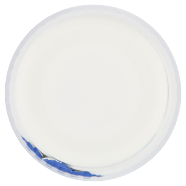 Bianca Bontà Yogurt Magro 500 g