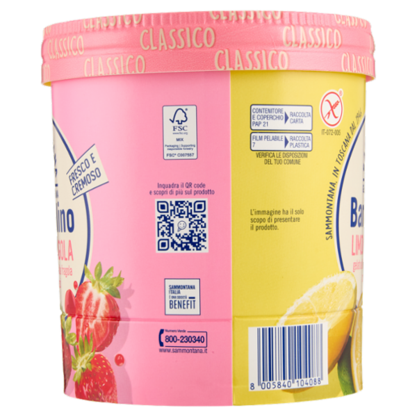 Sammontana Barattolino Classico Limone e Fragola 500 g