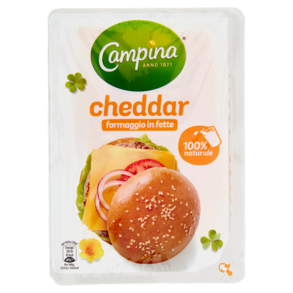 Campina cheddar formaggio in fette 100 g