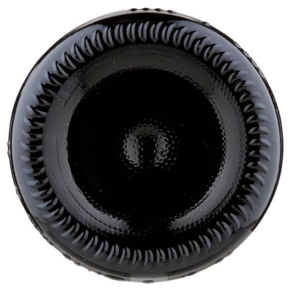 Tenuta San Zeno Bonarda dell'Oltrepò Pavese DOC Vivace 750 ml