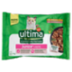 ultima Expert Nutrition Cat junior 1-12 Mesi con Pollo, con Salmone in Salsa 4 x 70 g
