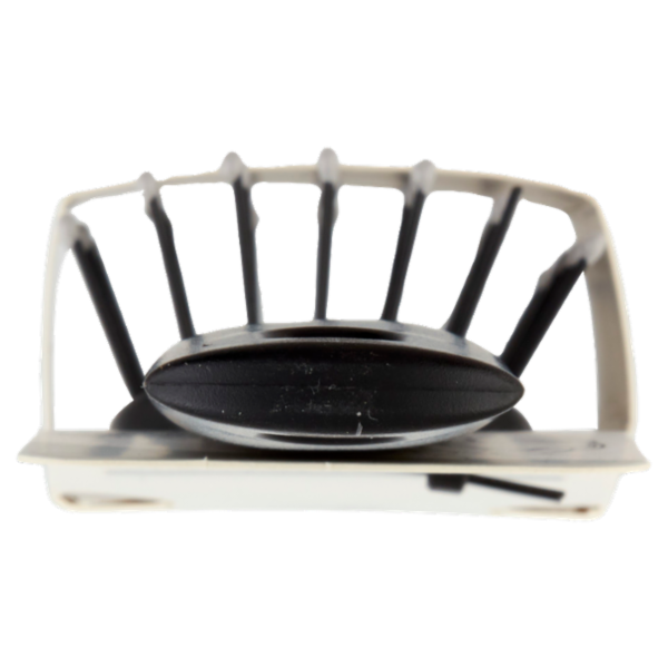 elison Spazzola Scioglinodi Areata