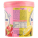 Sammontana Barattolino Classico Limone e Fragola 500 g