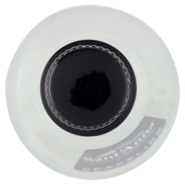 Sant'Anna Source de Pédourès Sparkling 75 cl