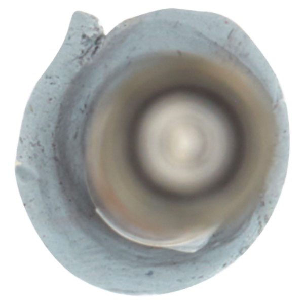 Maybelline New York Matita Sopracciglia Brow Ultra Slim, Soft Brown