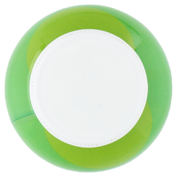 Viva Latte di Kefir 480 g