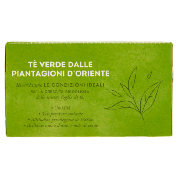 Lipton Tè Verde Classico 50 Filtri 65 g