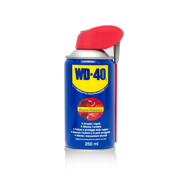 WD-40 SISTEMA PROFESSIONALE 250ml SPRAY