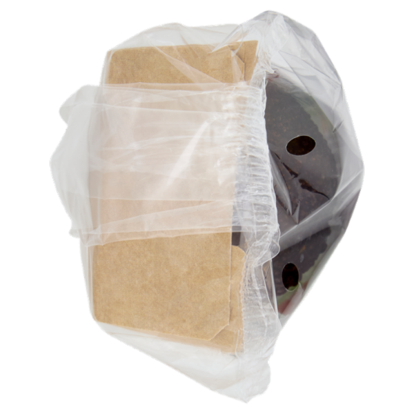 Almaverde bio gli Esotici Avocado Bio 0,250 Kg