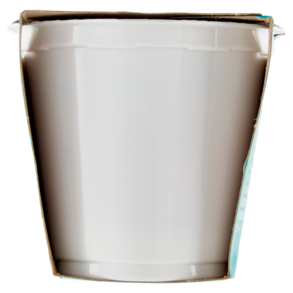 IL GIGANTE Yogurt Magro Frutti di Bosco 2 x 125 g