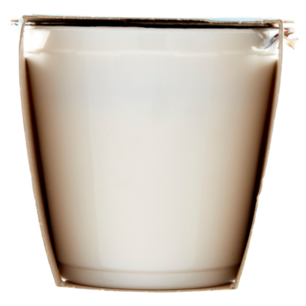 Consilia Yogurt Magro 0,1% Ananas 2x125 g