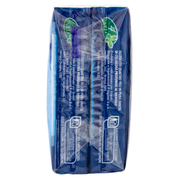 IL GIGANTE Fazzoletti al Mentolo 4 Veli 10 pz