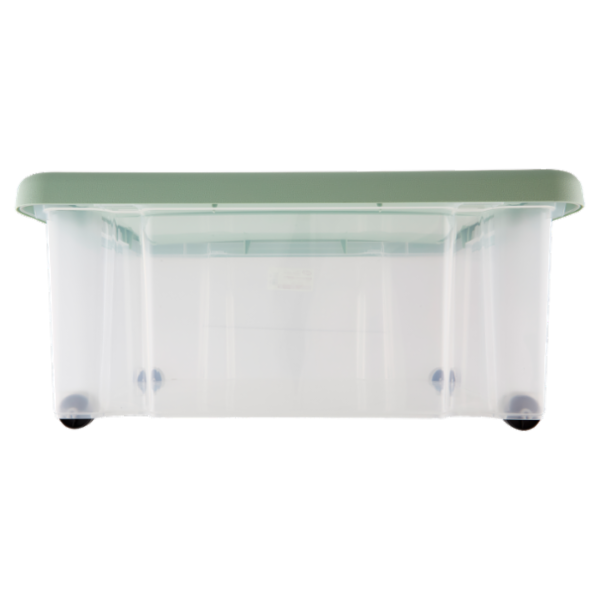 Selex Contenitore con Coperchio a Scatto con Ruote Verde Cammeo 43 L