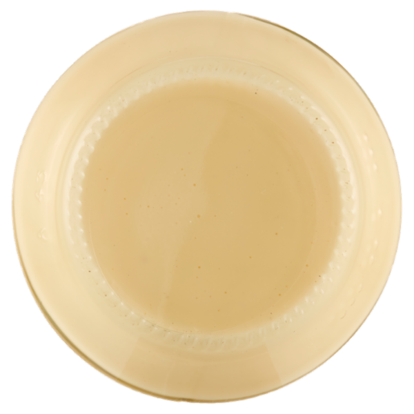 Biffi la Maionese Italiana 480 g