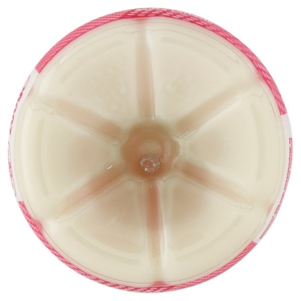 Milk Kefir Collagene Lychee e Gusto Aloe Vera 200 g