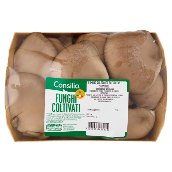 Consilia Funghi Pleurotus Coltivati Interi 300 g