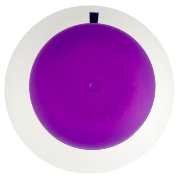 Neutro Roberts Essenze Italiane Firenze Olio Essenziale di Iris e Ambra Grigia 200 ml