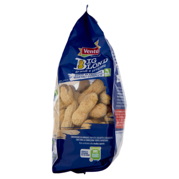 Ventura Big Blond Arachidi in Guscio Tostate 250 g