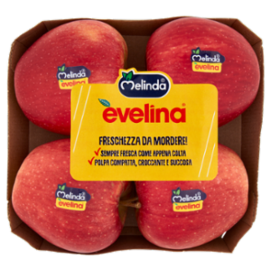 Vassoio 4 Frutti 750 Gr Evelina 75/80