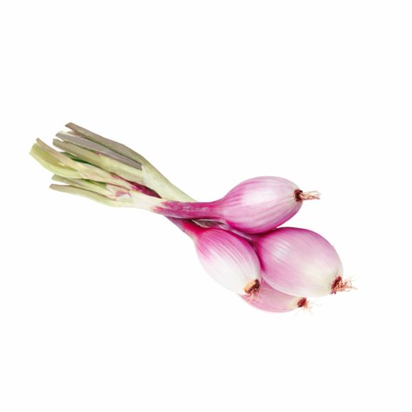 Cipollotti Rossi di Tropea IGP