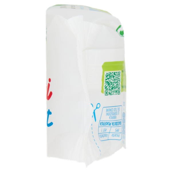 Nonno Nanni stracchino con fermenti lattici vivi dello Yogurt 100 g