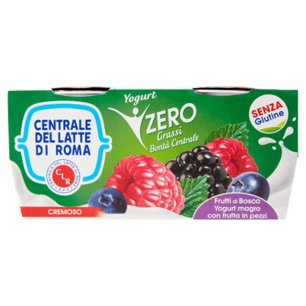 Centrale del Latte di Roma Zero Grassi Frutti di Bosco Yogurt Magro con frutta in pezzi 2 x 125 g