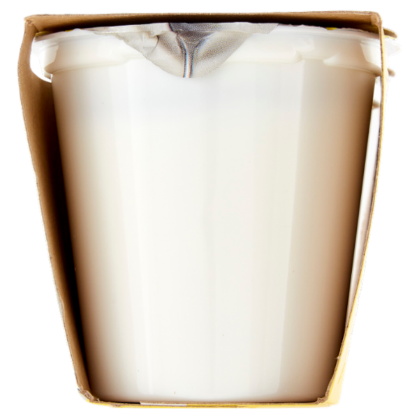 Arborea Yogurt Intero da Latte di Alta Qualità Bianco 2 x 125 g