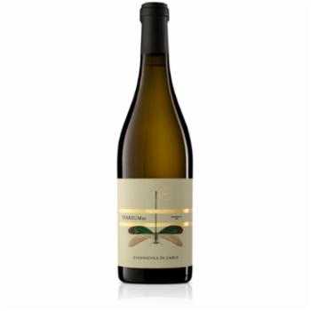 Giannicola Di Carlo Terreum91 Passerina Terre Di Chieti Igp 75 Cl