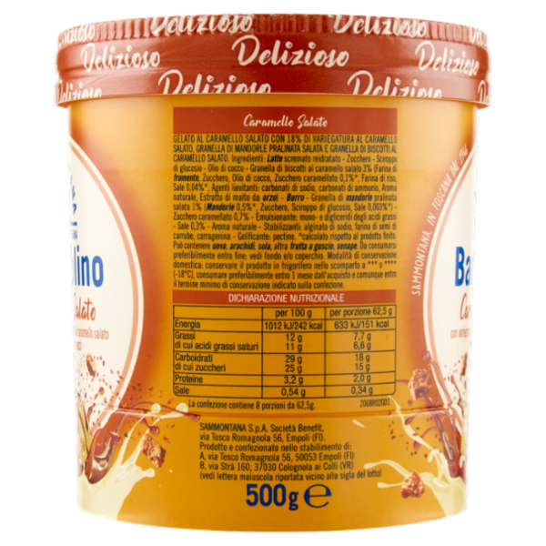 Sammontana Barattolino Delizioso Caramello Salato 500 g