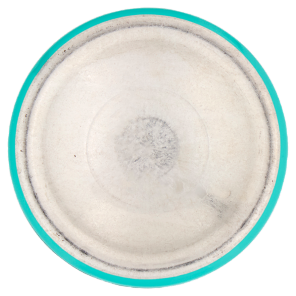 L'Oréal Paris Ritocco Perfetto, Spray Correttore per Radici e Capelli Bianchi, Biondo Scuro, 75 ml