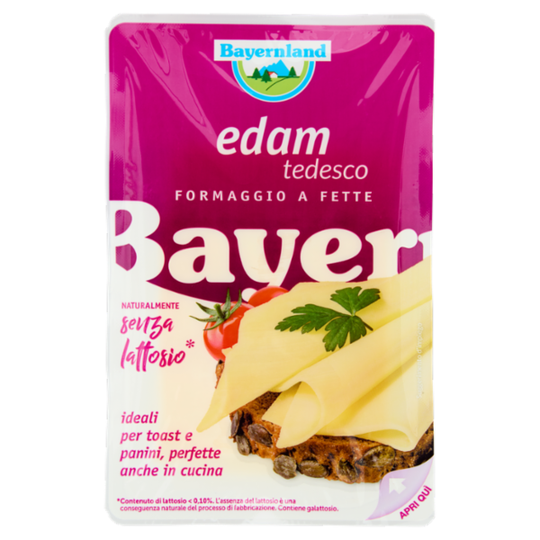 Bayernland edam tedesco Formaggio a Fette 100 g